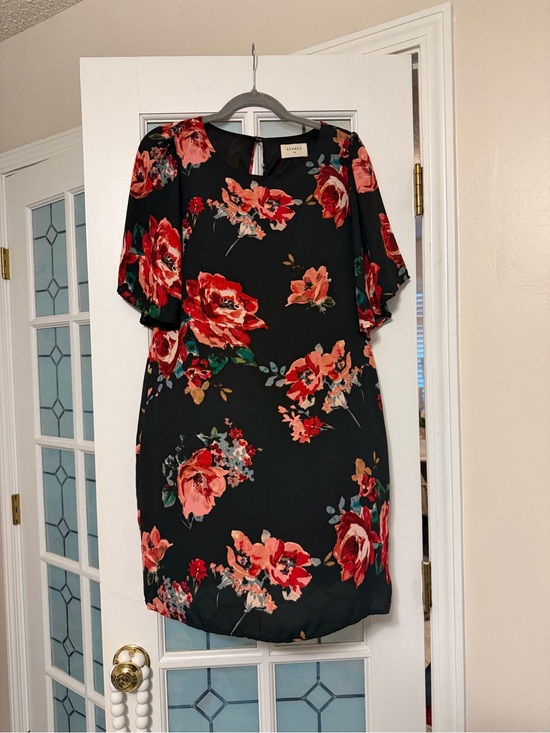 Everly Dresses & Skirts - Floral Shift Dress in Black and Red -